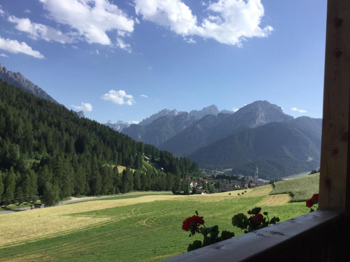 Altmessnerhof Apartment Dobbiaco Bagian luar foto